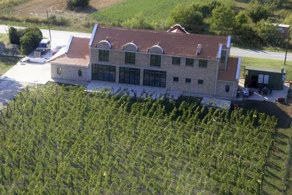Vinarija 4 praseta